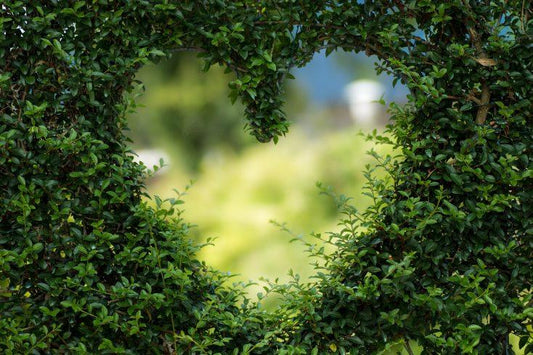 Science Proves that Love Changes Your DNA