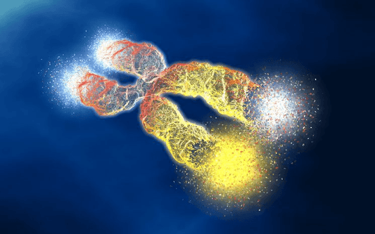 How Stress Affects Your DNA And What To Do About It