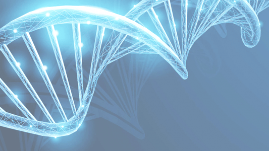 Eat These 6 Foods to Boost DNA Repair