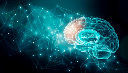 Activate Your Dormant Brain Cells as You Age