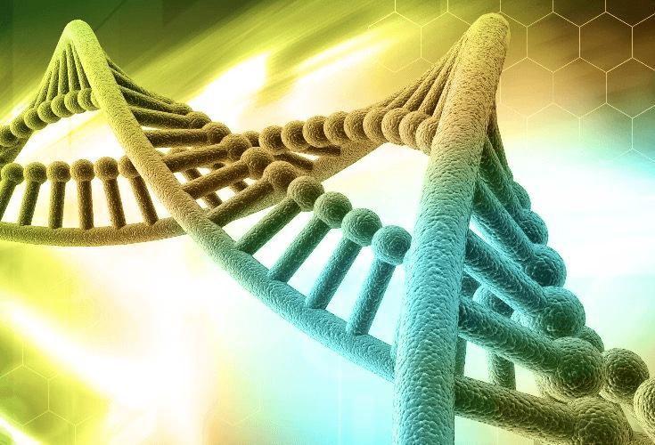 This Latest Scientific Breakthrough in DNA Shouldn’t Surprise You