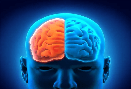 11 Fun Ways to Boost Your Brain’s Neuroplasticity