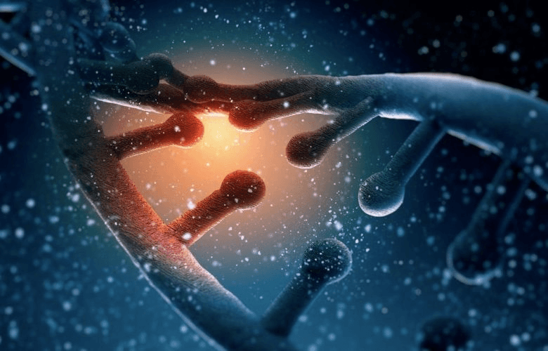 Study Proves Meditation & Yoga Can Change Our DNA – Healers of the Light