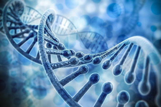 How Your DNA is Affected by Quantum Intelligence