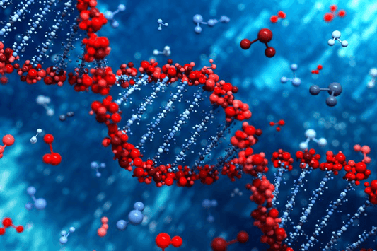 Are DNA Changes Limitless?