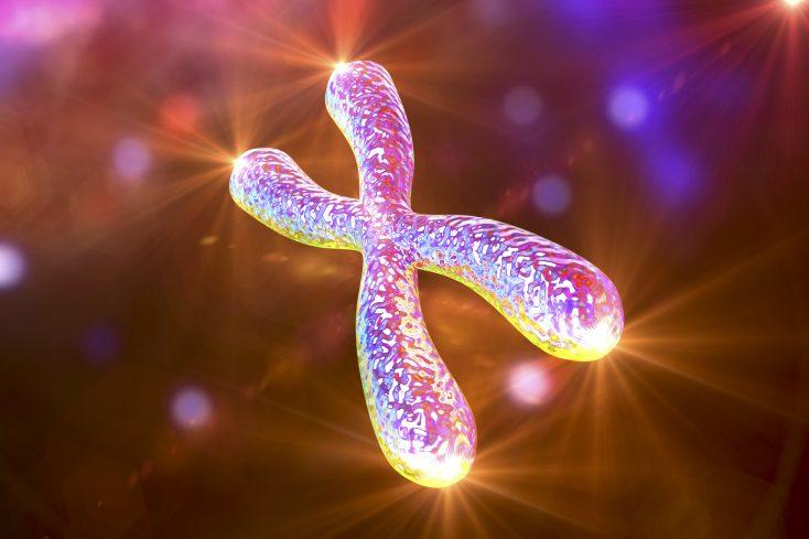 Lengthen Your Telomeres with Meditation