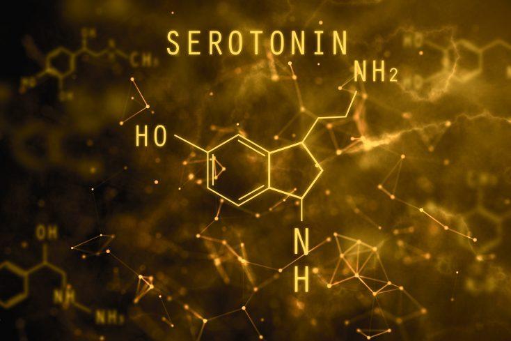8 Ways to Boost Your Serotonin Levels (The Mood Balancing Neurotransmitter)